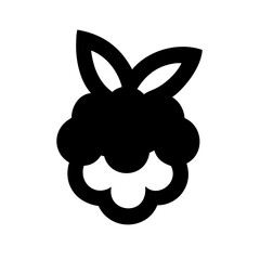 raspberry icon