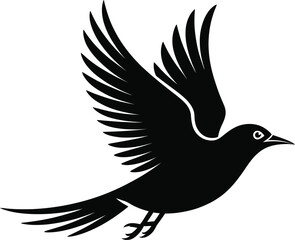 Black bird in flight flying wings