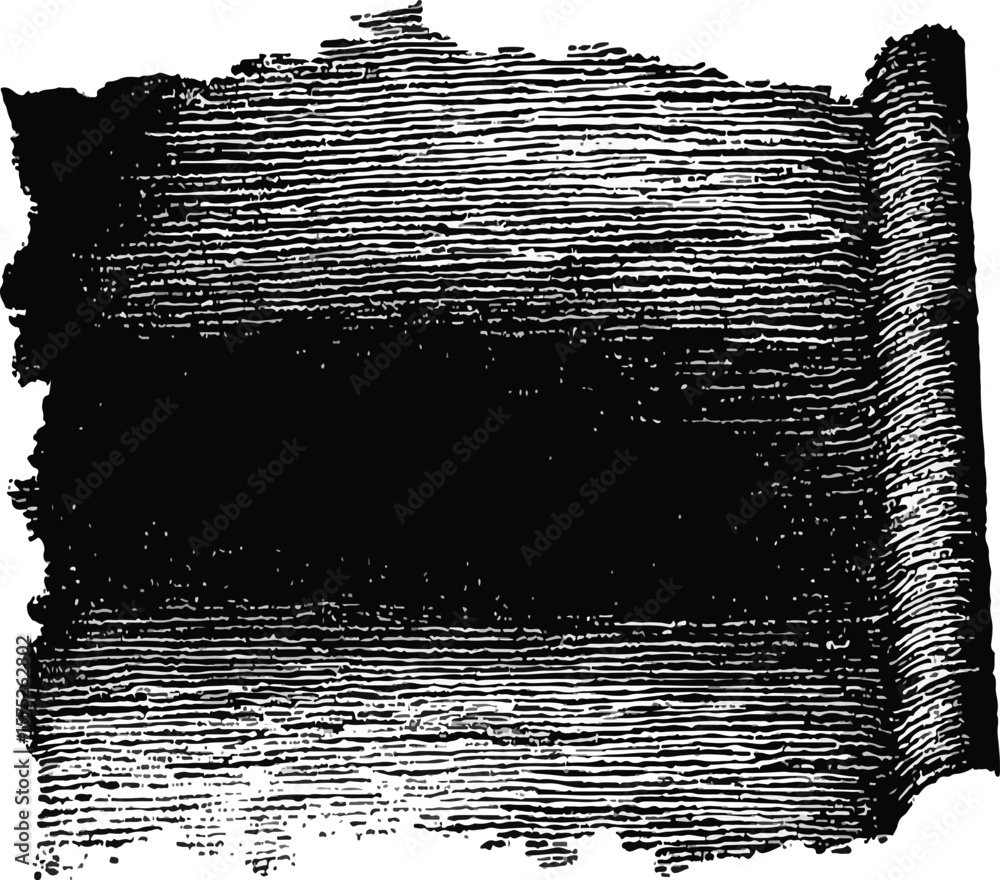 Poster a monochrome illustration of a partially unrolled scroll with horizontal lines and dark central band