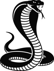 Black cobra striking with fangs bared snake white