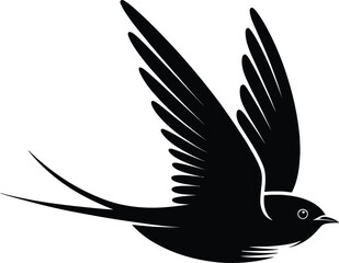 Black swallow in flight bird flying