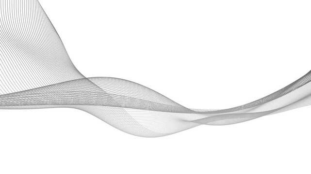 Flowing gray lines on clean minimal white