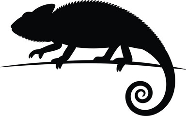 Black chameleon perched on a thin branch reptile animal