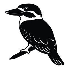 kookaburra silhouette white background vector art.