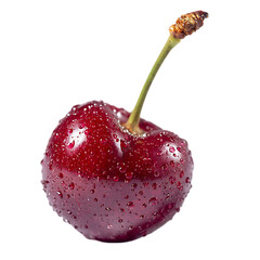 sour cherry on transparent background