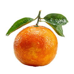 sour orange on transparent background