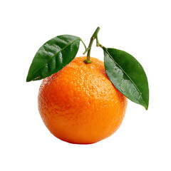 sour orange on transparent background