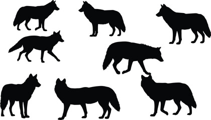 Wolf silhouette collection, vector animal design, wild forest predator illustration, black shadow wolves, walking standing poses, wildlife clipart set