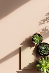 Minimalist Arrangement with Succulents in Pots and Card with Soft Light and Shadow