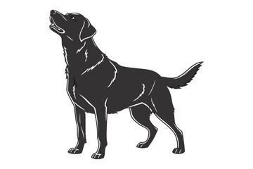 Obraz premium other elements. no background. dog.