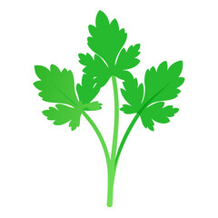 Naklejka premium Fresh green parsley leaves isolated on white background