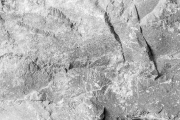 Textured Gray Rock Surface for Natural Background and Design Use