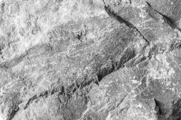 Textured gray stone surface with natural patterns and lines