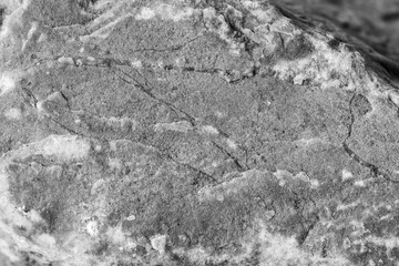 Close-Up of Textured Rock Surface with Natural Patterns