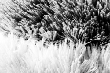 Close-Up of Texture in Black and White Plush Fabric Surface