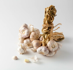 Fresh Garlic Bulbs and Braided Garlic Strands on White Background