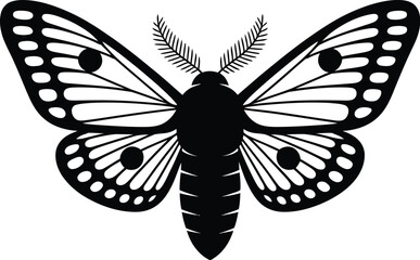 Black moth with patterned wings insect white © Nurnabi