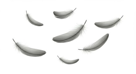 Fototapeta premium Floating Feathers on White Background Symbolizing Lightness and Softness