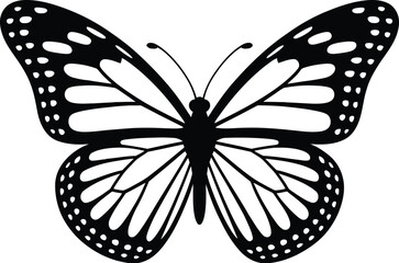 Black monarch butterfly wings spread insect