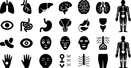 Collection of black silhouette icons representing various human organs and body parts including the brain lungs heart eyes stomach intestines liver kidneys and skeletal system