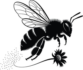 Black bee flying towards flower insect pollination