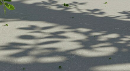 Leaf Shadows on Concrete Floor with Green Sprigs Minimalist