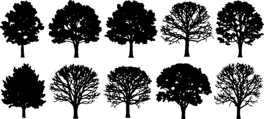 Set of Tree Silhouettes – Vector Illustrations of Deciduous Trees with Leaves and Bare Branches for Nature, Landscape, and Environmental Design Projects