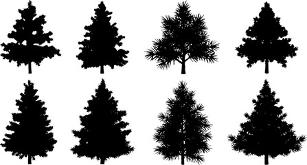 Collection of eight distinct black silhouettes of evergreen trees showcasing varied shapes and needle textures against a clean white background