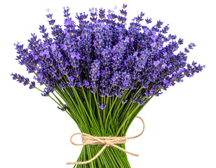 Fototapeta premium Fresh Lavender Flower Bouquet Tied with Natural Twine, Isolated on Transparent Background PNG