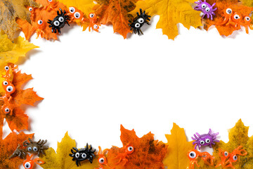 Colorful autumn leaves arranged beautifully with a halloween border for seasonal decor.