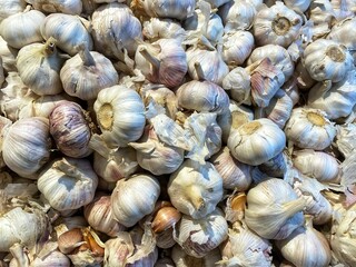 Large pile of fresh garlic bulbs, ready for sale at a market.