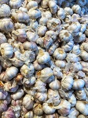 Abundant raw garlic display at a market.
