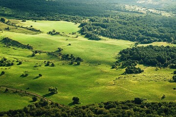 Fototapeta premium Expansive panorama of green meadow hills and forest near countryside, Panorama Of Green Meadow Hills And Forest Near Countryside Of Vilasantar, Spain Aerial Shot