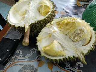 Opened Durio zibethinus or durian fruit on the table close-up.musang king variety. photo taken in...