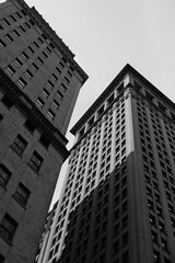 new york city