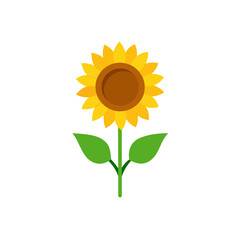 sunflower-plant-on-white-background--.svg