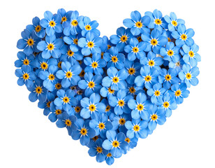 Heart-Shaped Arrangement of Forget-Me-Not Flowers, isolated on a transparent background
