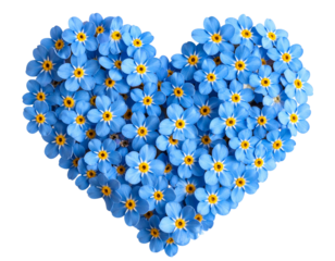 Heart-Shaped Arrangement of Forget-Me-Not Flowers, isolated on a transparent background