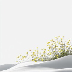 Yellow flowers on a white dune