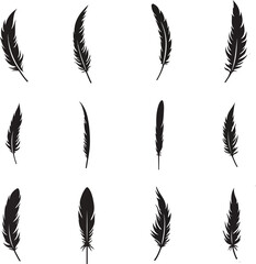 Black silhouette feather design collection in various angles for creative illustration and art projects