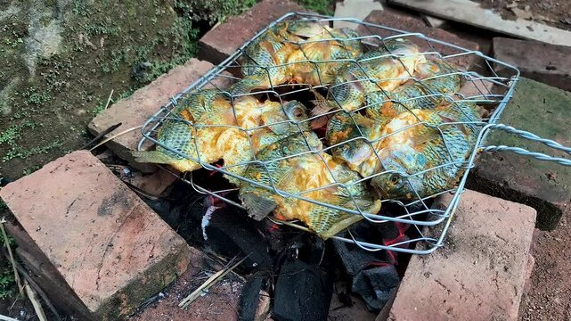 grilling Nile tilapia or Oreochromis niloticus