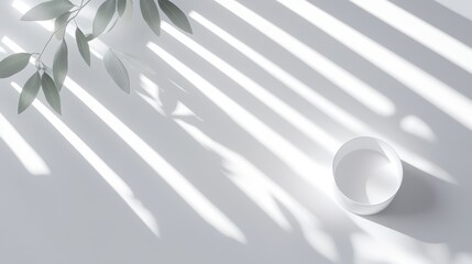 Elegant light and shadow design with eucalyptus leaves.
