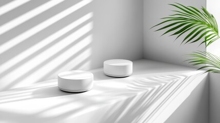 White circular podiums in a minimalist setting.