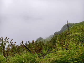 Misty Green Mountain Ridge with Dense Foliage and Foggy Terrain