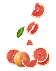 grapefruit slices and segments isolated on transparent background