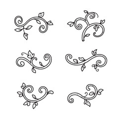 Fototapeta premium Elegant collection of hand-drawn black and white swirls and leaves ornament design elements