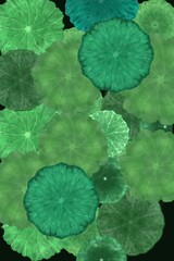 Layered Lotus Leaves Pattern on Dark Background
