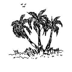 Hand-drawn vector illustration of three tropical palm trees with birds soaring above, rendered in monochrome sketch style with clean, elegant lines