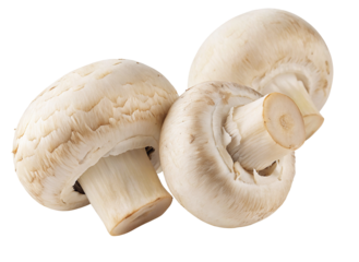 Fresh white mushrooms isolated on white background for healthy cooking and vegetarian recipes