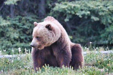 Obraz premium Yukon Territories, Canada